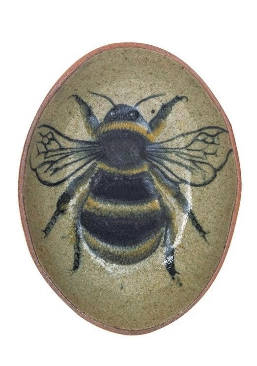 Insect Dishes