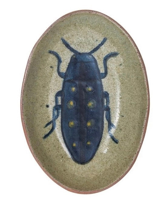 Insect Dishes
