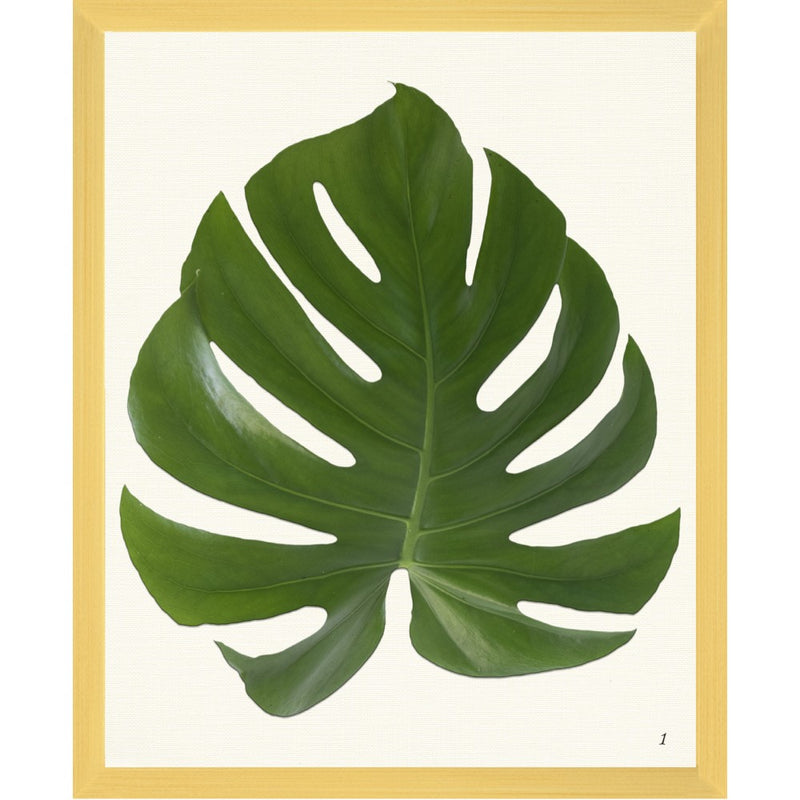 Tropical Framed Art