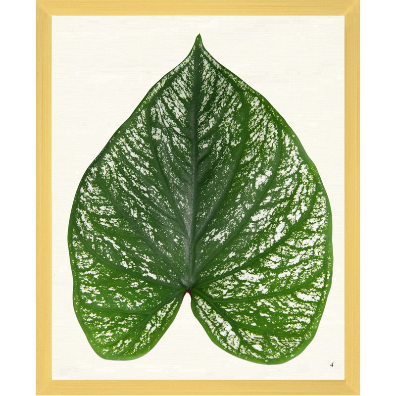 Tropical Framed Art