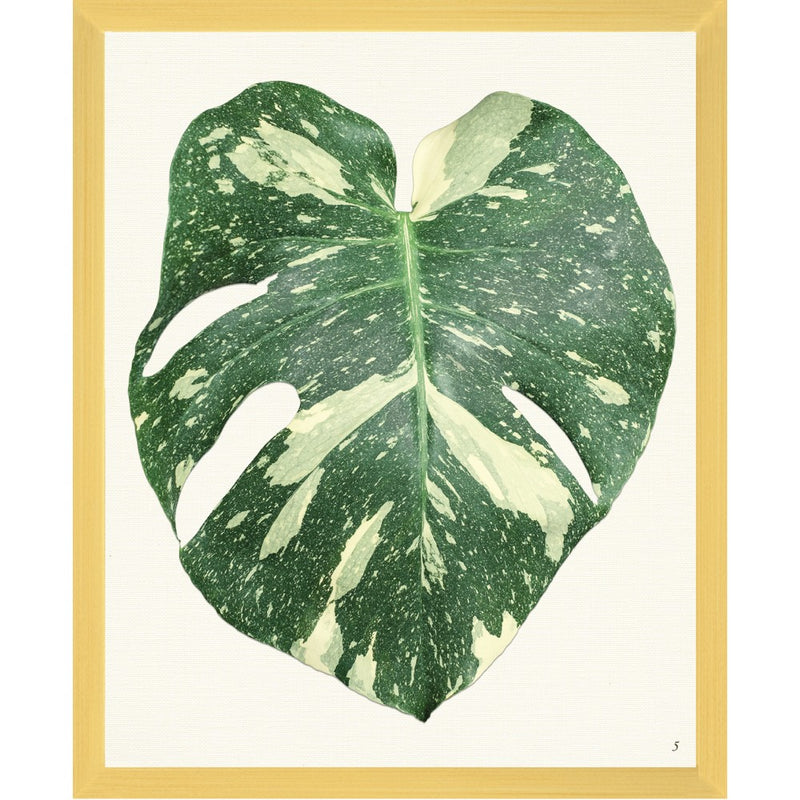 Tropical Framed Art