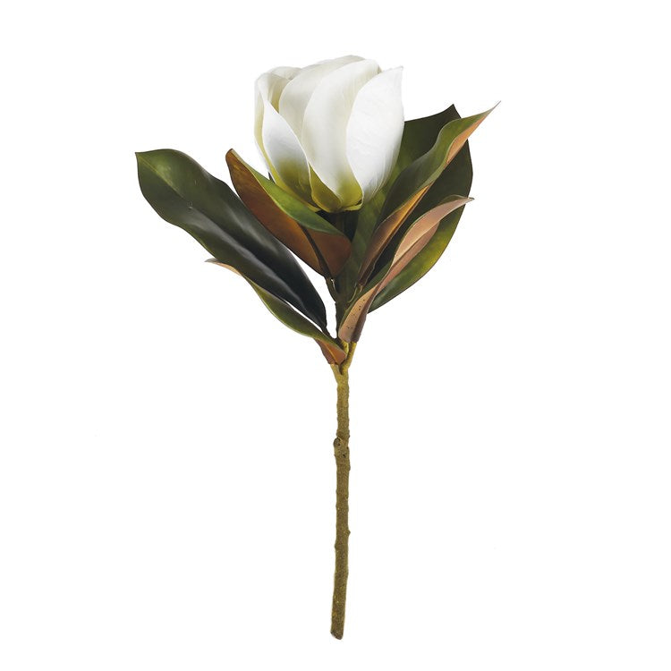 Magnolia Stem 17.5"