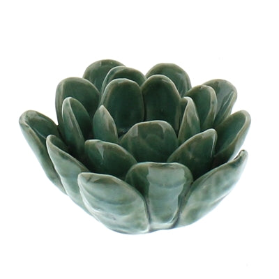 CERAMIC SUCCULENT