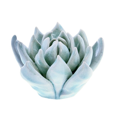 CERAMIC SUCCULENT