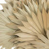 20" Palm Sun Spear Natural