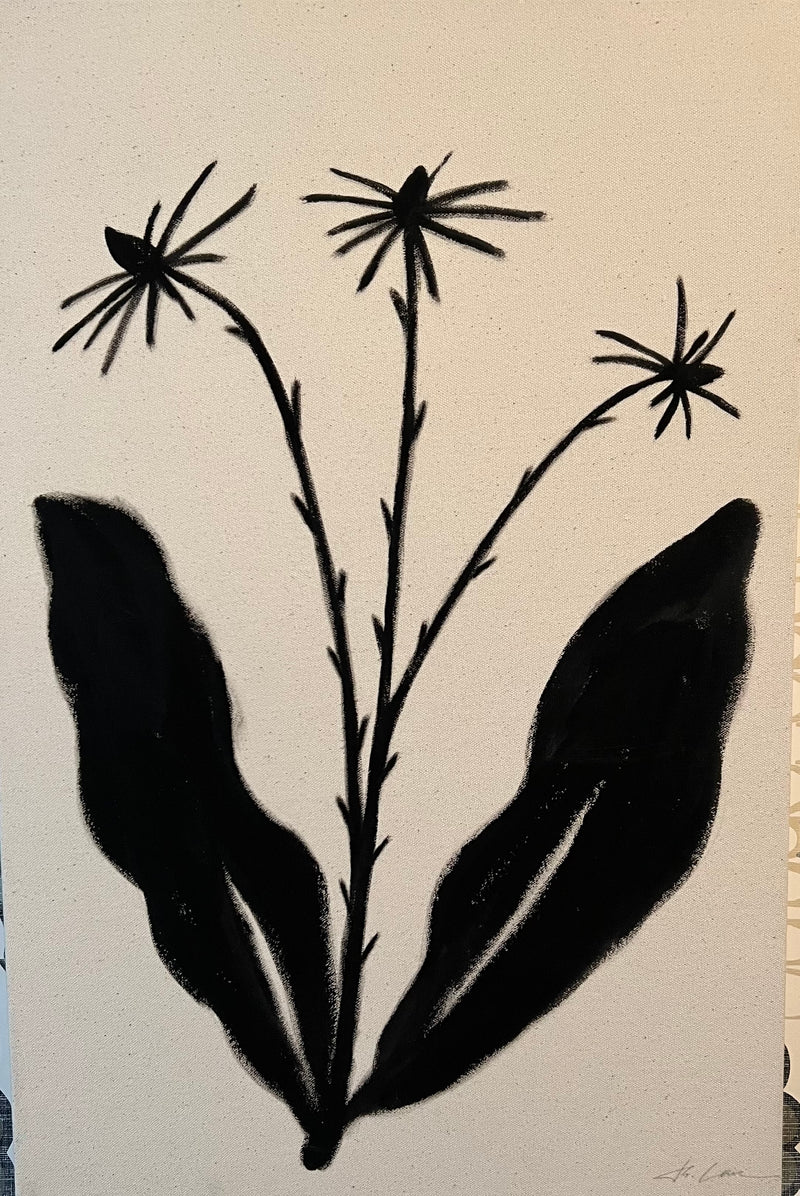 Black Flower II