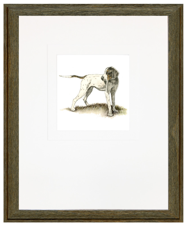 Bird Dog