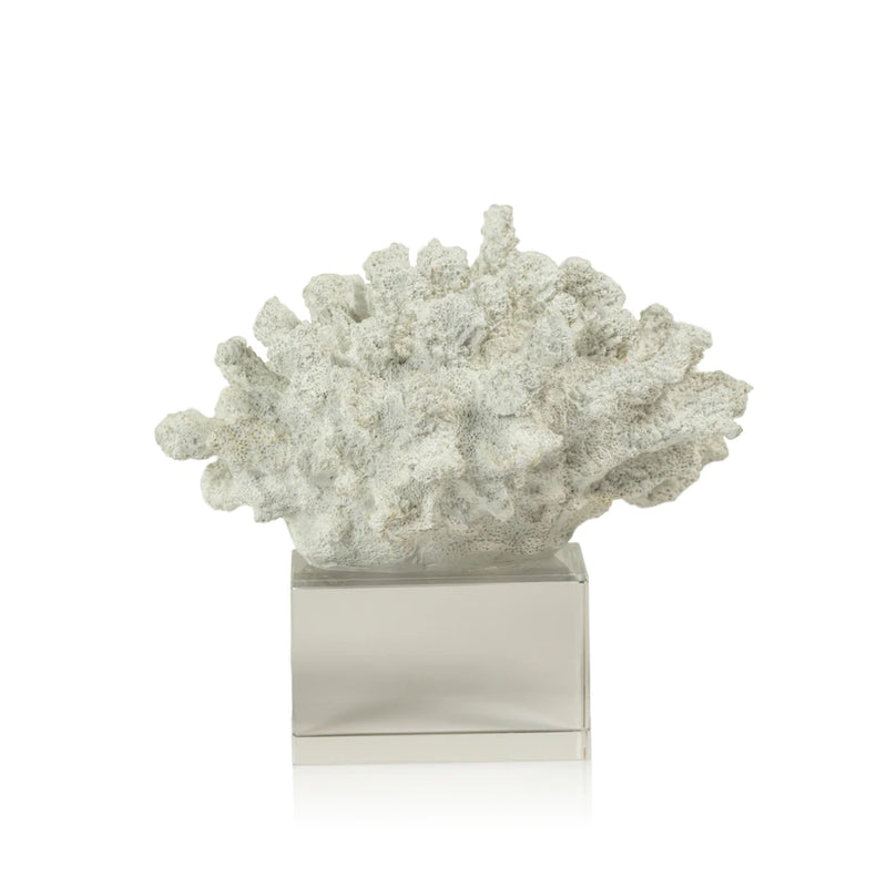White coral on acrylic base