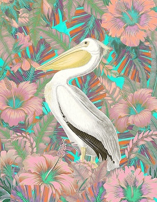 Glowing behind Feathers IV