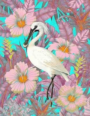 Glowing behind Feathers VI