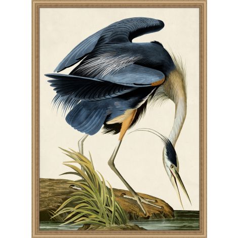 Oiseau 1