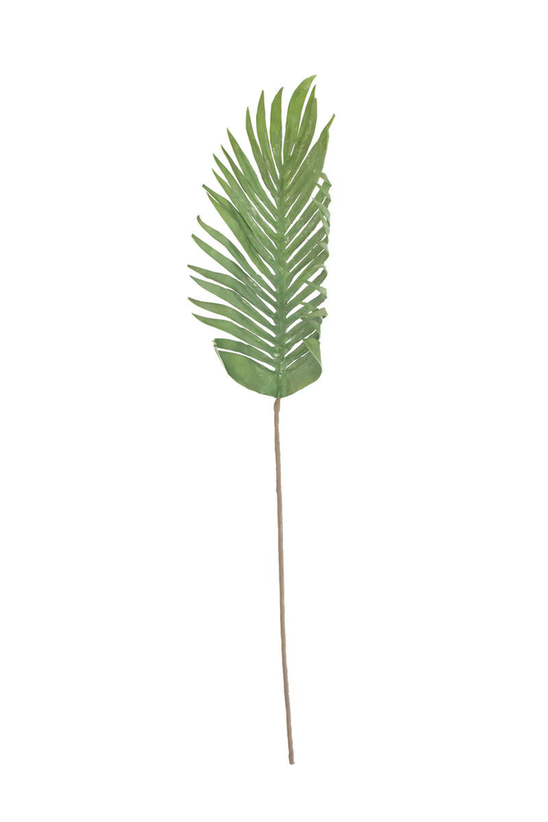 Botanica #3646