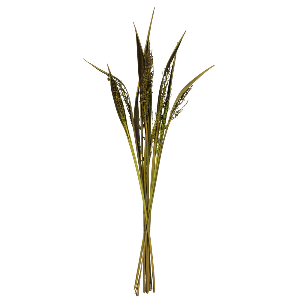 Vickerman 36" Basil Bahia Spears Seeded