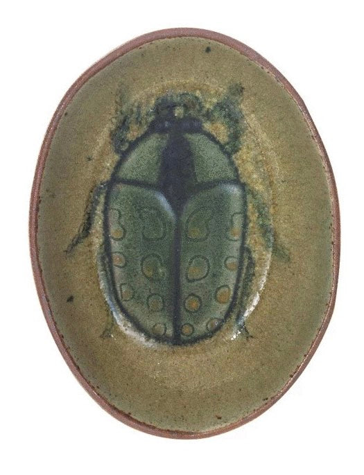 Insect Dishes