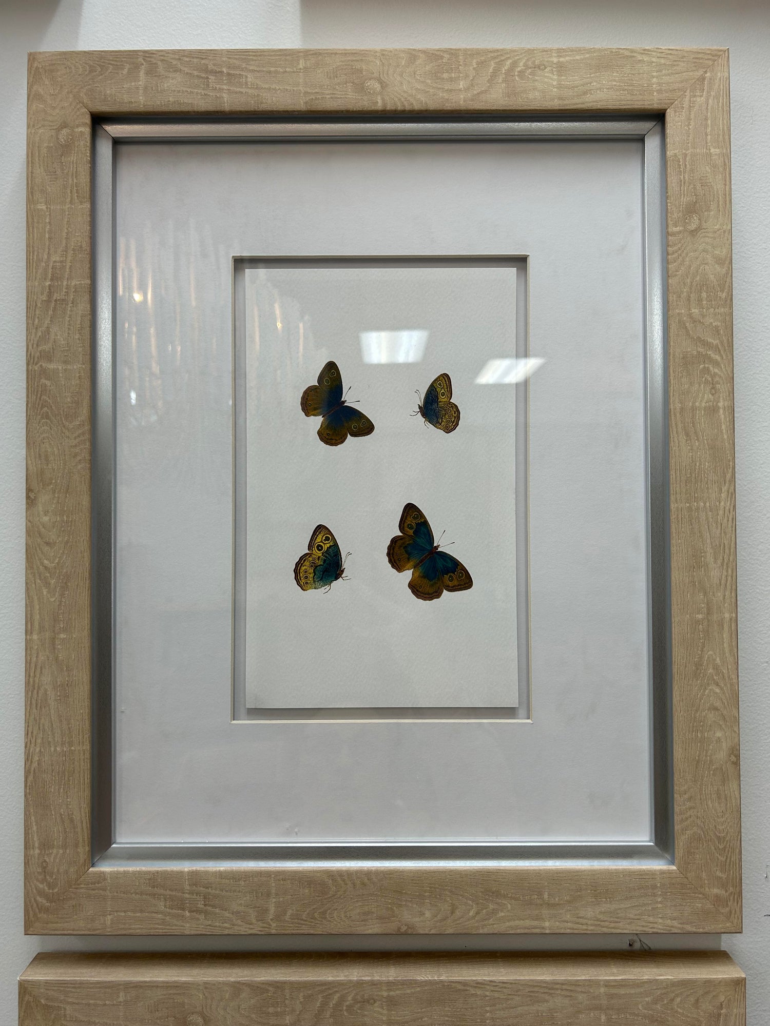 Butterfly Love III