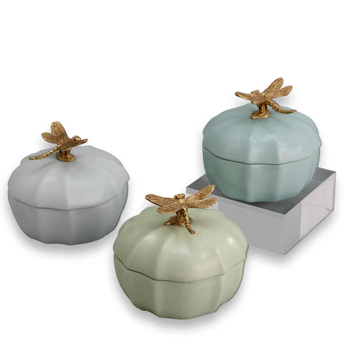 Dragonfly Scallop Boxes