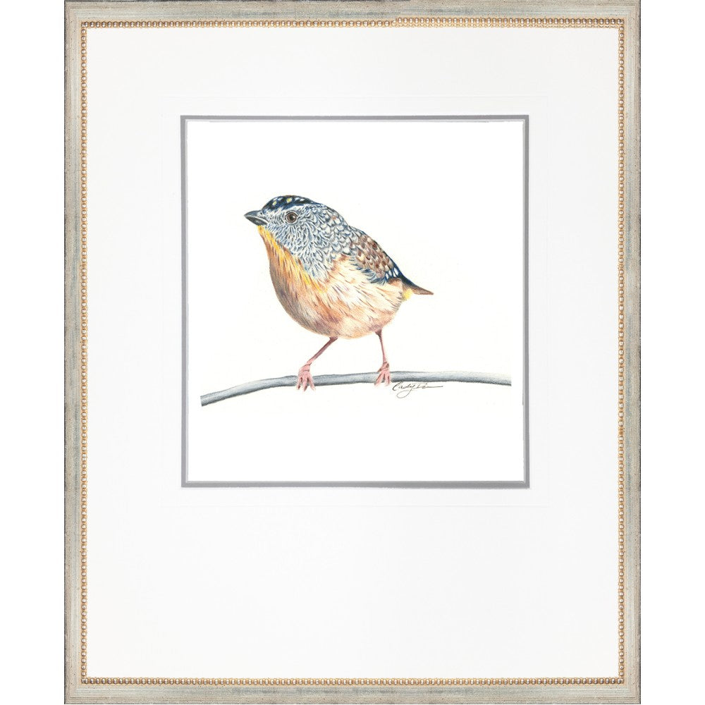 Bird On A Branch Artwork