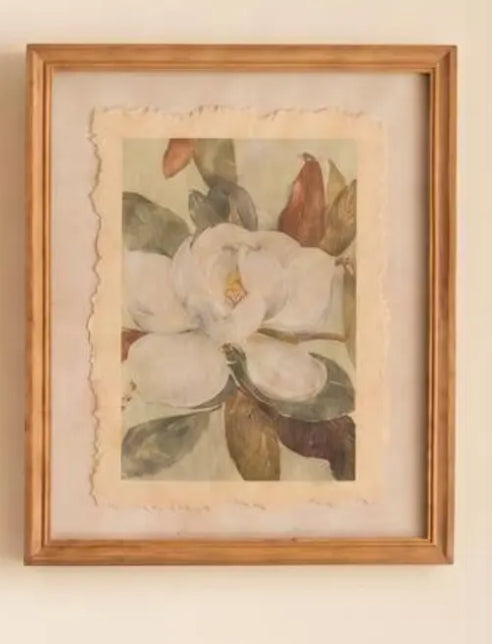 Framed Magnolia Prints Under Glass