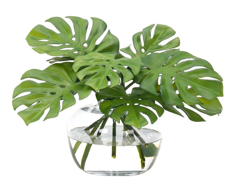 Monstera Leaf