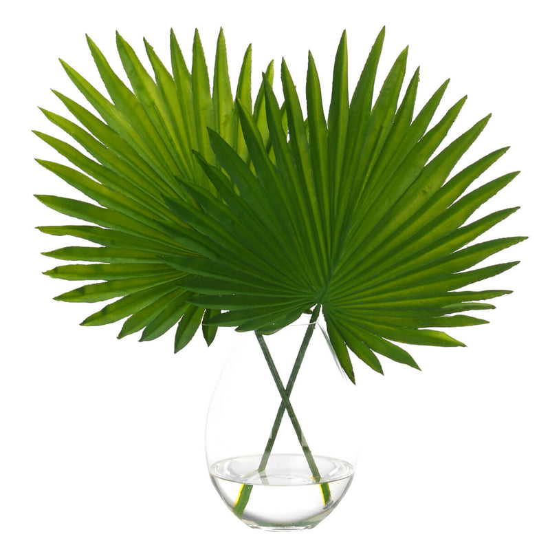 Fan Palm Leaf 19"