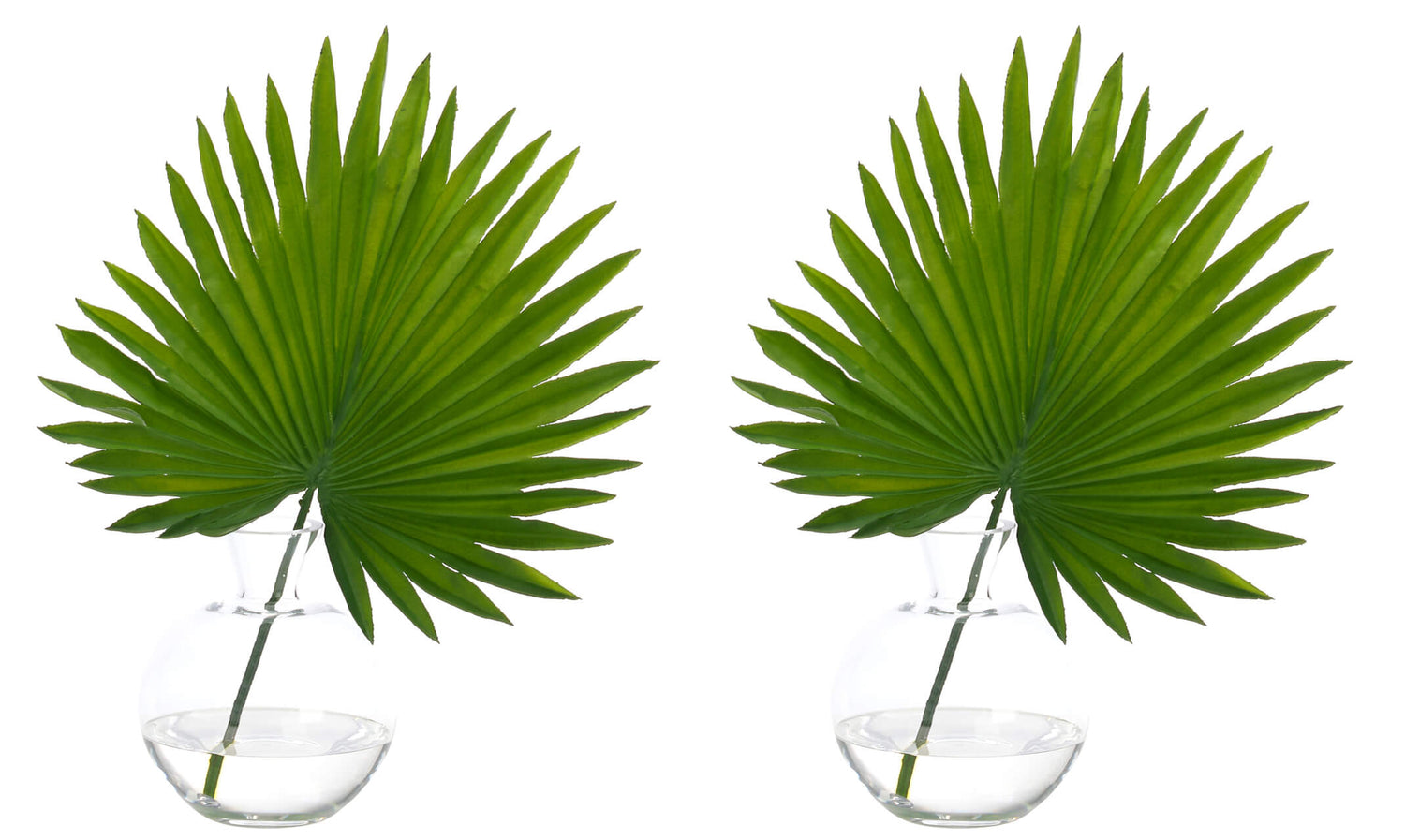 Fan Palm Leaf- Glass Bubble