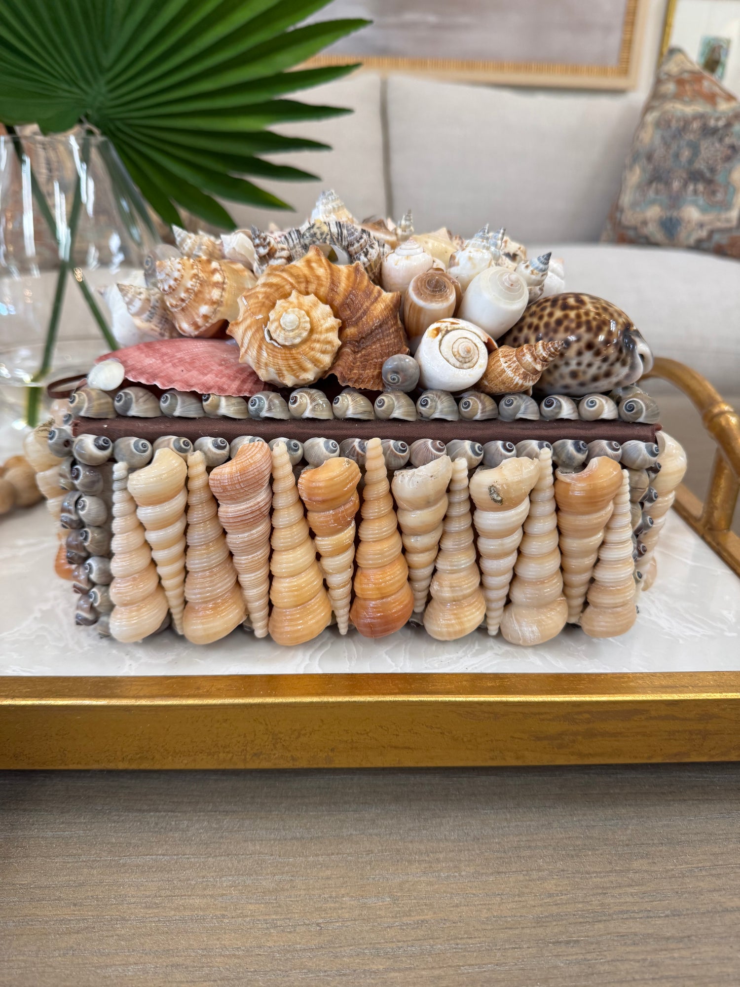 Mixed shell cluster top with turritella sides
