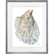 Oyster Shell 12