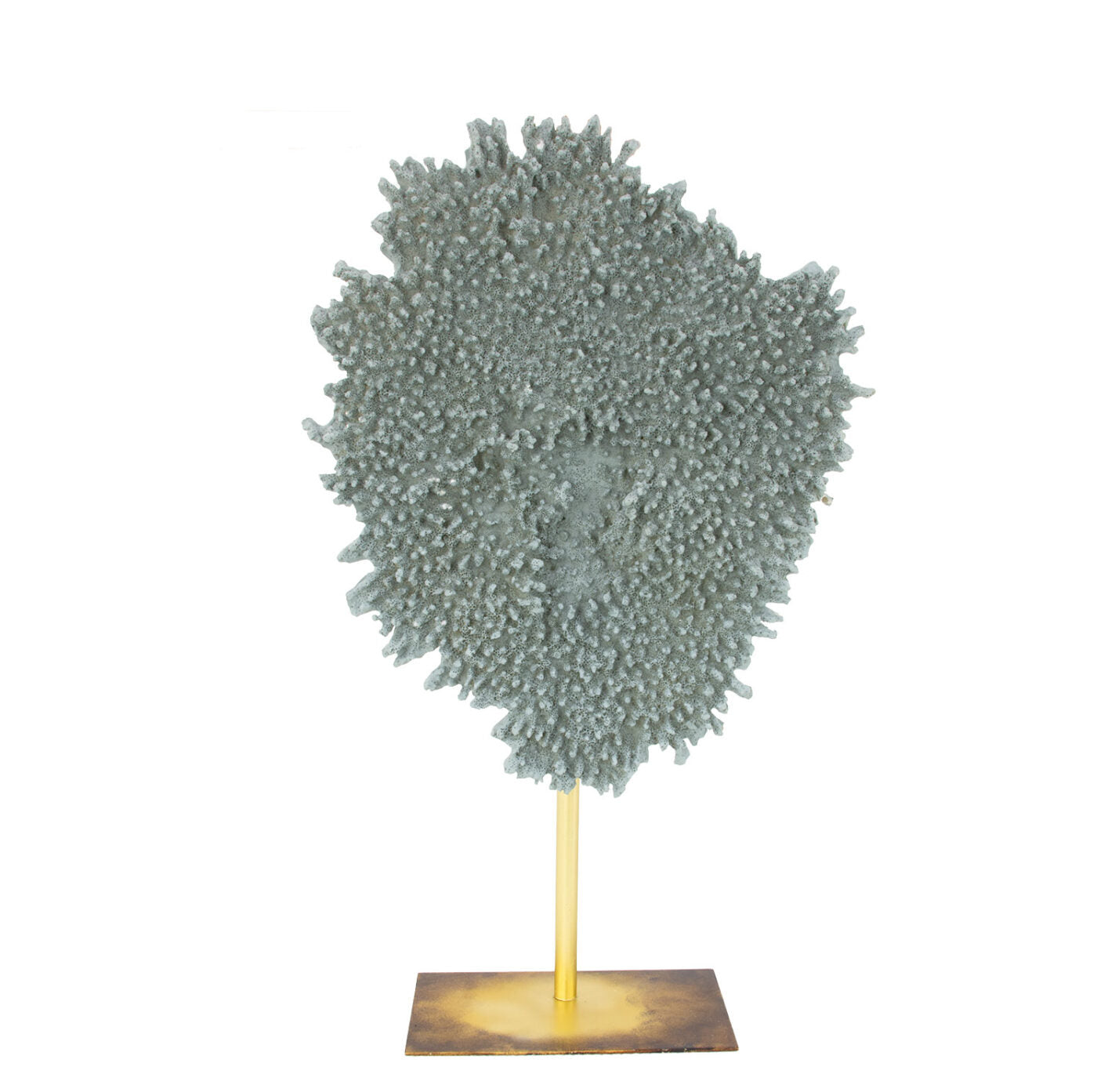 Plate Coral Blue