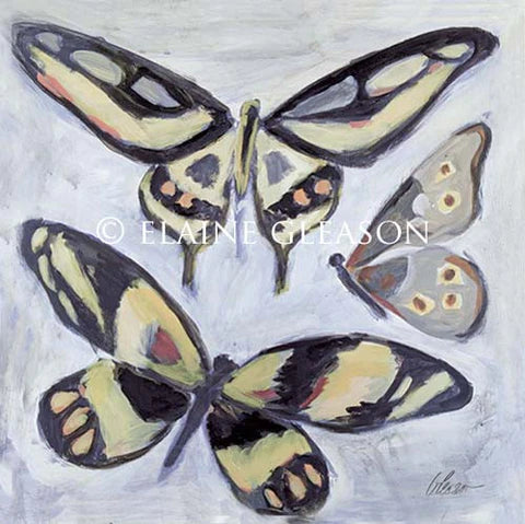 Butterflies