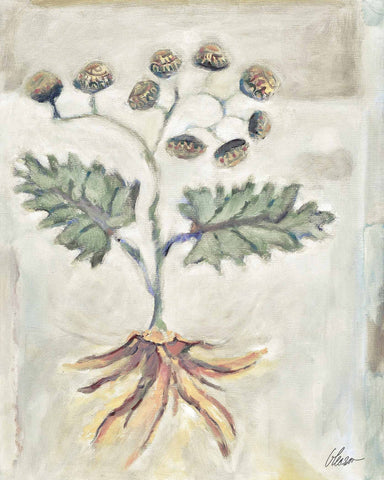 Voynich Meadow