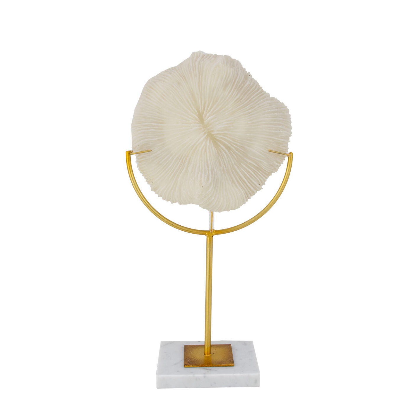 White Coral Decor