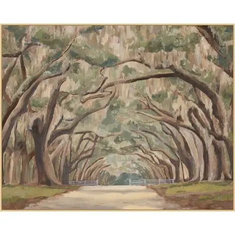 Under the Spanish Moss