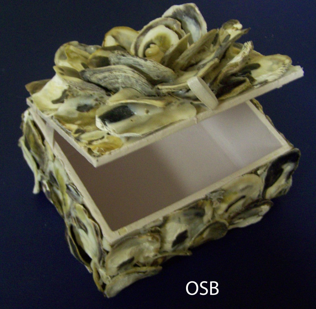 Oyster Shell Box Square