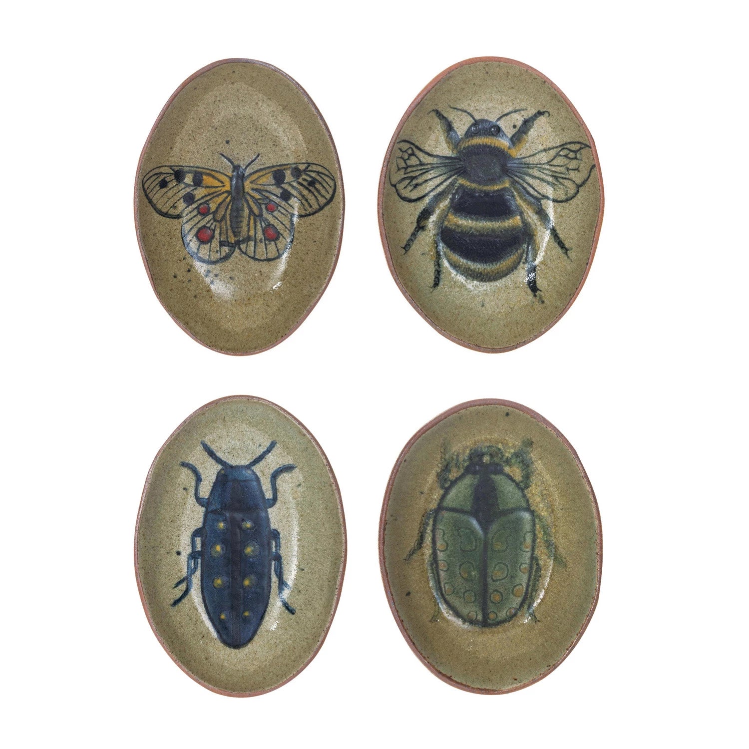 Insect Dishes