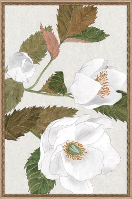 Secrets of the Blossoms V