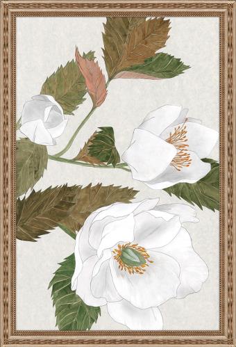 Secrets of the Blossoms