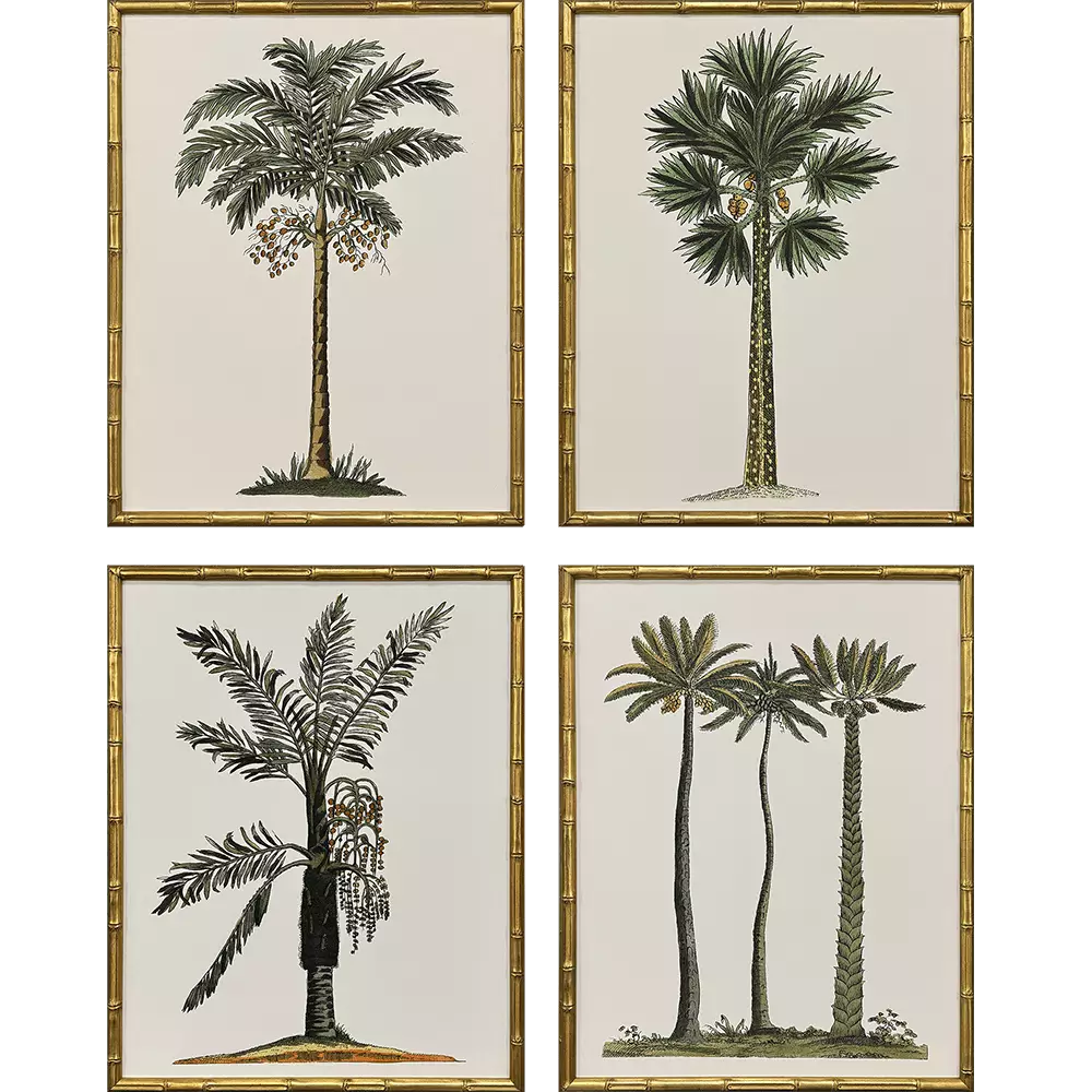 Contemporary Palm II
