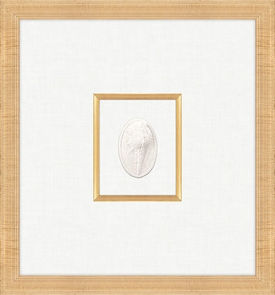 Seashell I