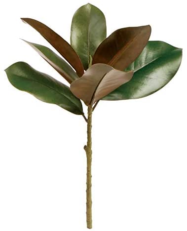 GRAND MAGNOLIA PICK 16"