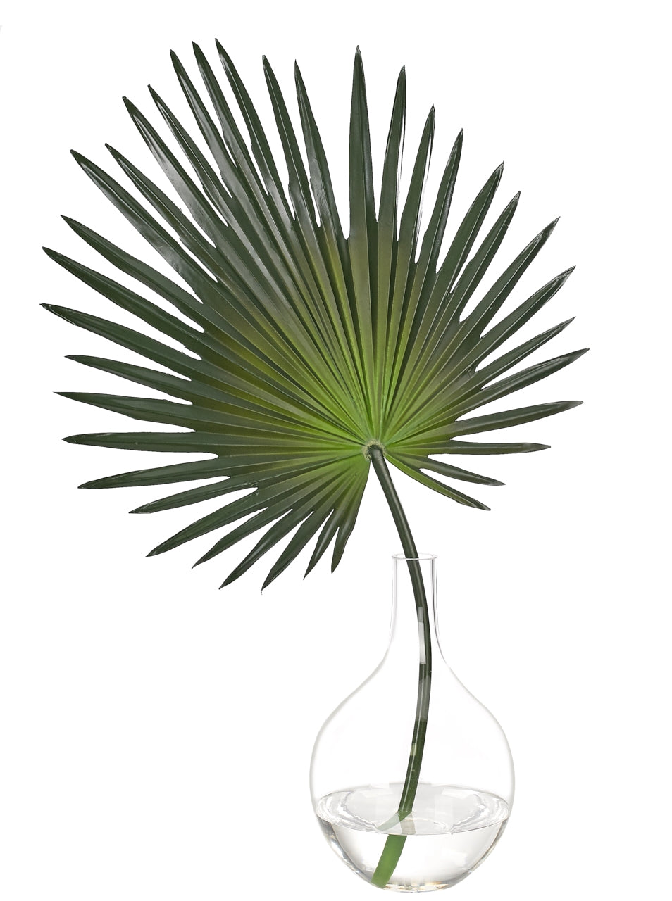 Fan Palm Glass Bulb Vase