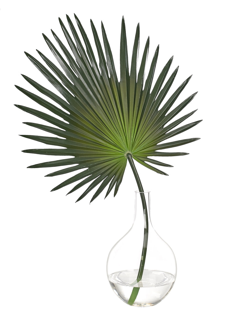 Fan Palm Glass Bulb Vase