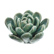 CERAMIC SUCCULENT