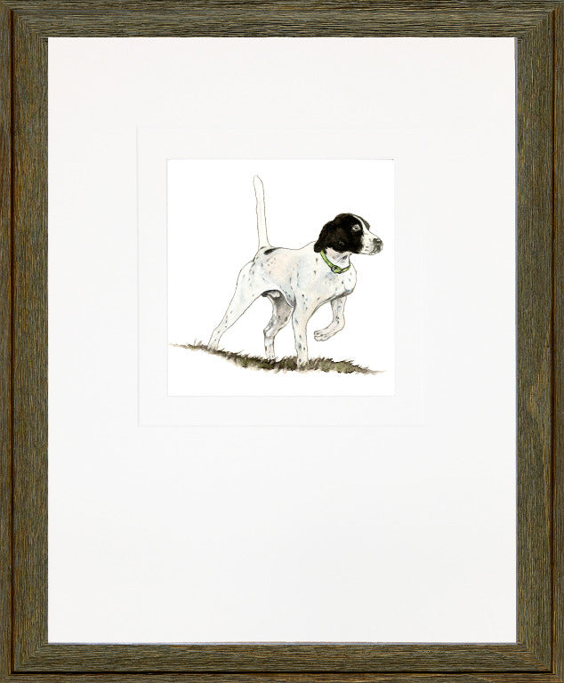 Bird Dog