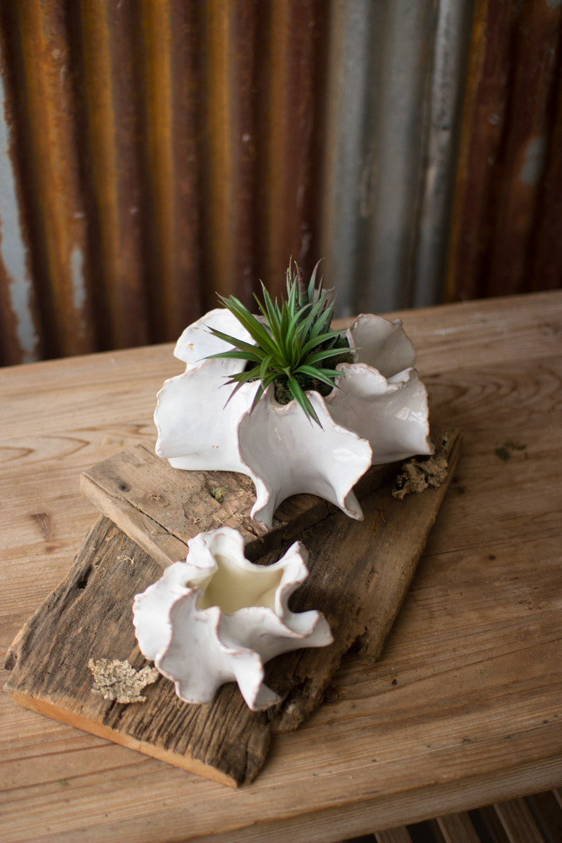 Organic Ceramic Planters