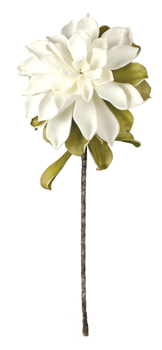 Botanica III