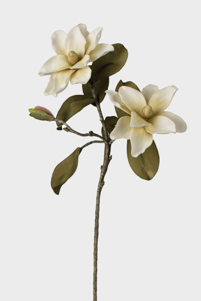 botanica #2015