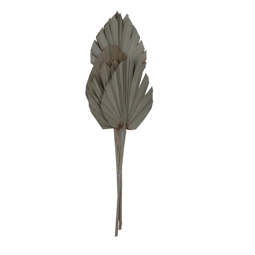 21" Natural King Palm Spear