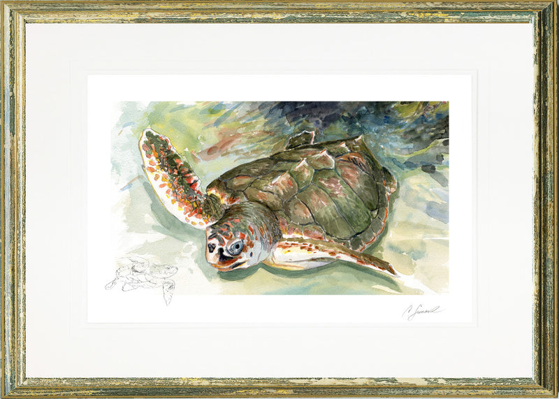 LOGGERHEAD 1