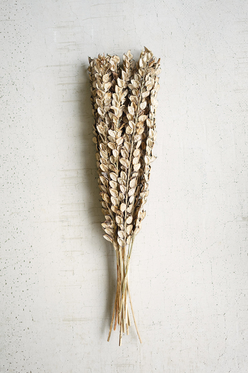 Cotton Petals On Stem