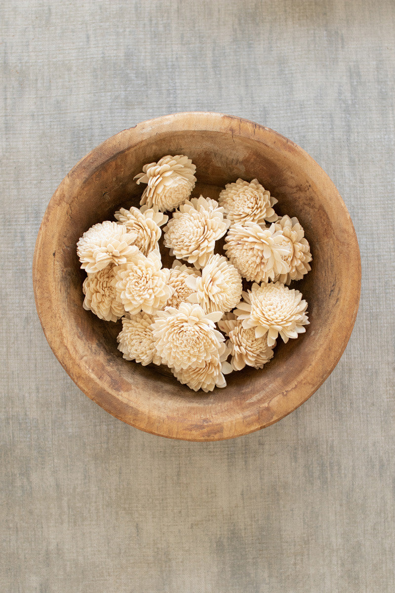 bag of 16 dried zinnias